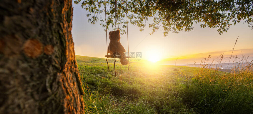 泰迪熊坐在日落时的摇摆上在一棵老橡树上关于爱与童图片