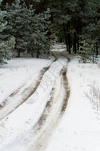在雪中的道路图片