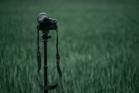 三脚架上的相机站在田野里自然景观的静态摄影现代图片