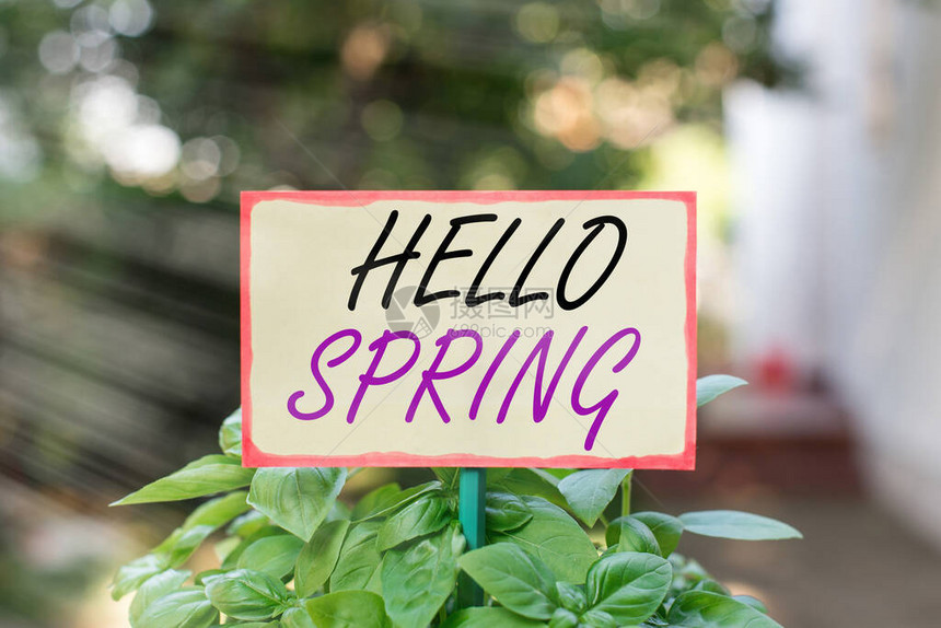 新鲜植物和开花季节的商务照片文字问候普通空纸贴在棍子上图片