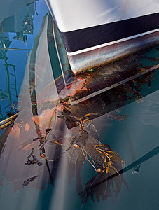 绳索和船码头上船头上的海藻船体图片