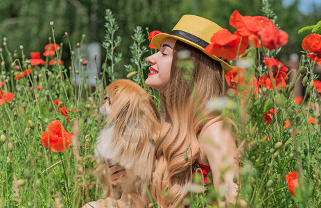 夏日气氛有金狗的女孩在炎图片