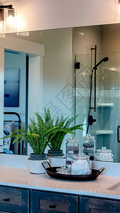 垂直架子浴室有两根水槽和壁镜子图片