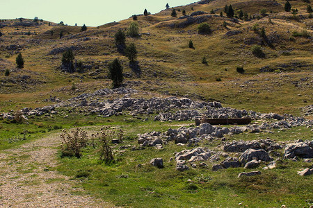 进入Bjelasnica山落基部分的牛绵羊山羊野生动物等饮水地点图片