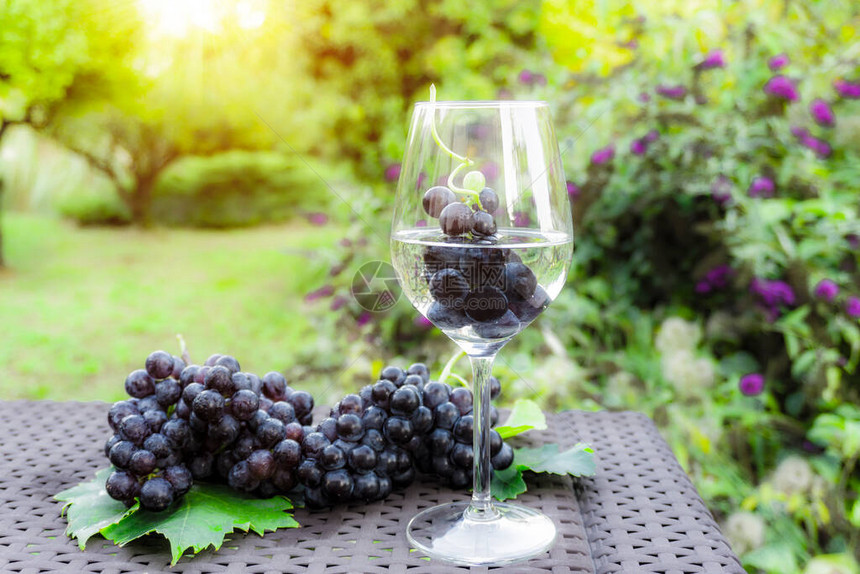 一杯白葡萄酒中的葡萄果实和一串新鲜的深黑浆果成熟葡萄图片