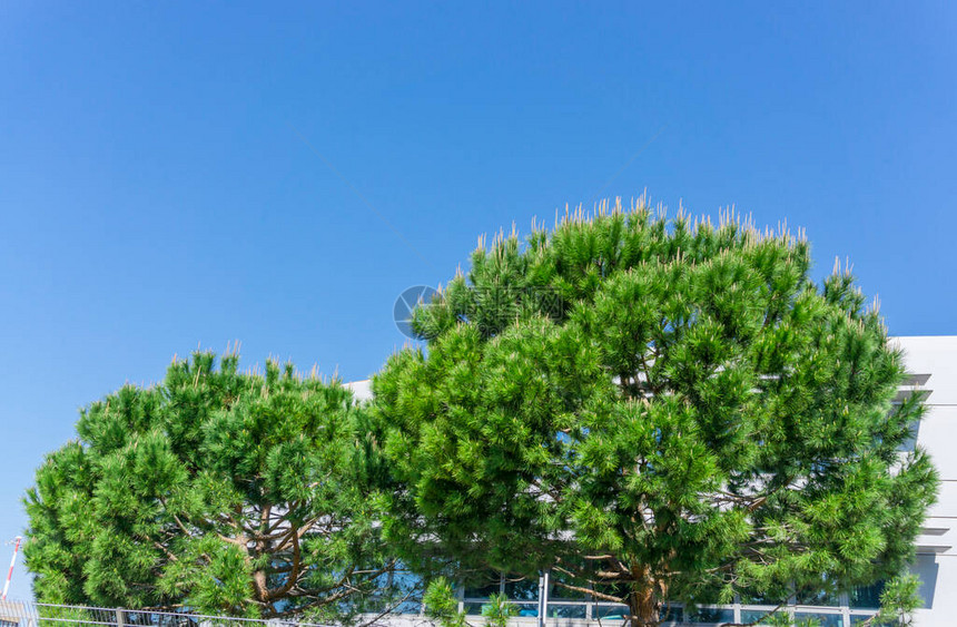 在深蓝天空下半圆两轮的意图片