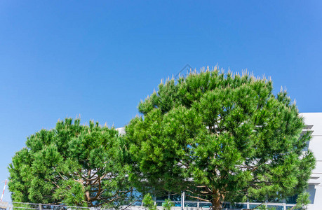 在深蓝天空下半圆两轮的意图片