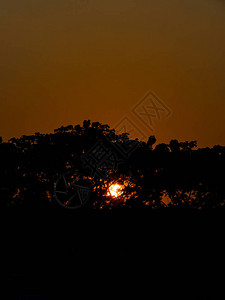 太阳从大树枝的缝隙中看到了太阳的光芒图片
