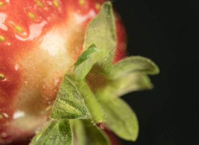 草莓果闭合可见结构和小细节小图片
