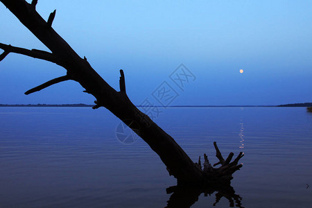 塞利热湖的暮光景观有海岸月图片
