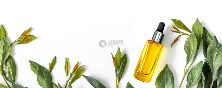 装有化妆品基本油的玻璃瓶新鲜绿色树枝和白底孤立的叶子有机天然产品平面图片