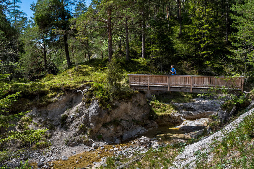 在奥地利Oetsechergraeben的绿峡谷中图片