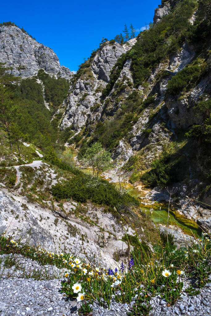 奥地利Oetchergraeben绿峡图片