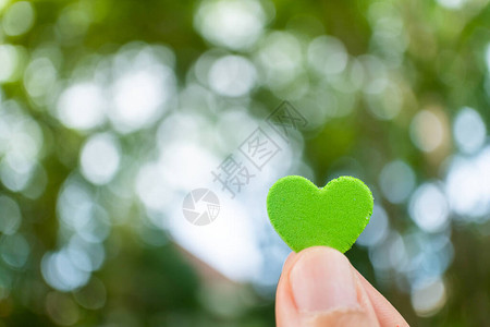 手握的小心脏意味着感觉爱与绿色的自然b图片