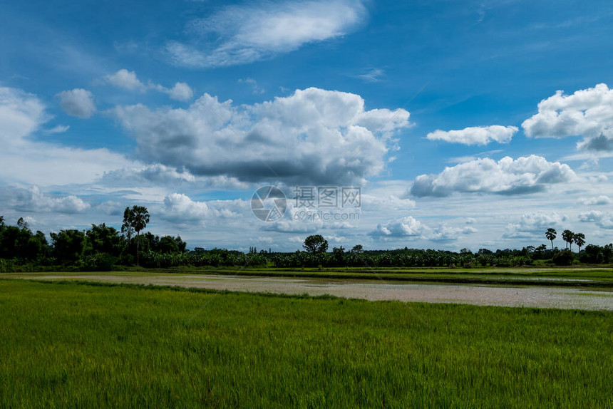 泰国普拉钦布里省Prachinburi雨季时图片