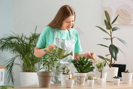 在家给植物浇水的年轻女子图片