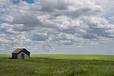 加拿大草原上一片草地上的旧谷物棚的风景图图片