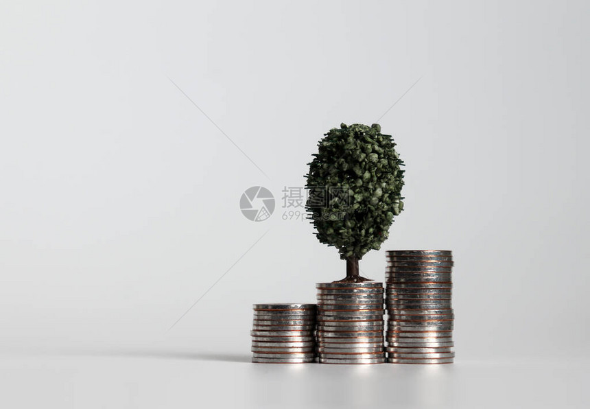 三堆硬币和一棵微型树图片