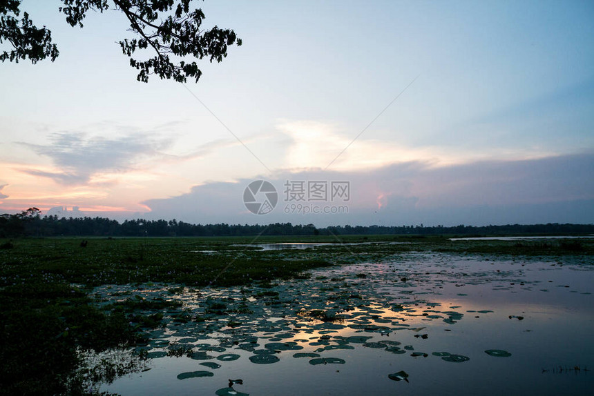 斯里兰卡湖景图片