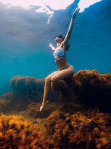 女自由潜水者在石上冒着海草图片