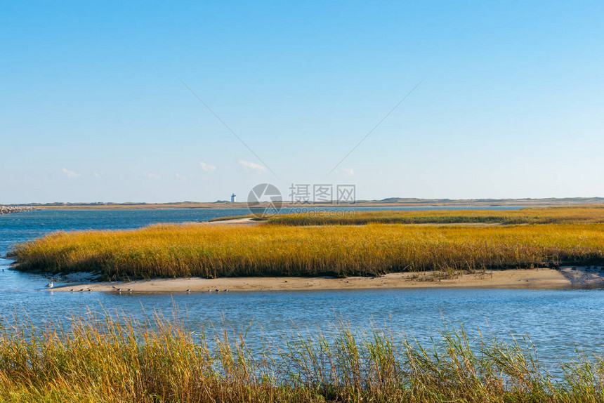 美国CapeCod省城附近地平线远处的SaltMarsh和LongPointLigh图片