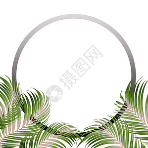 框架图片与棕榈树背景的绿叶图片