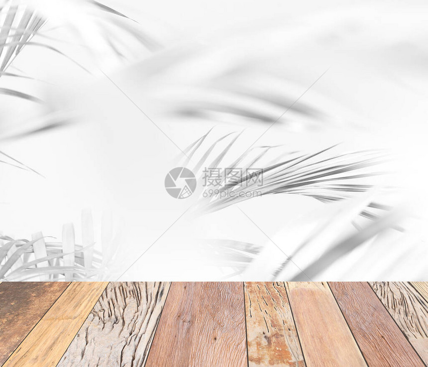 棕榈叶灰色背景含木地板图片