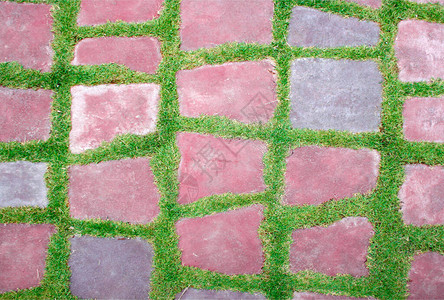 花园绿草上的石板路图片