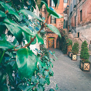 意大利罗马古老舒适街道的景象图片