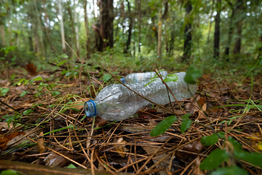 在树林里丢弃塑料水瓶图片