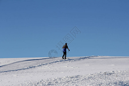 一个跨国滑雪运动员在图片