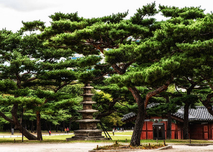 韩国首尔昌庆宫自然景观图片