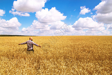 举手的快乐农夫为丰收而欢欣鼓舞图片