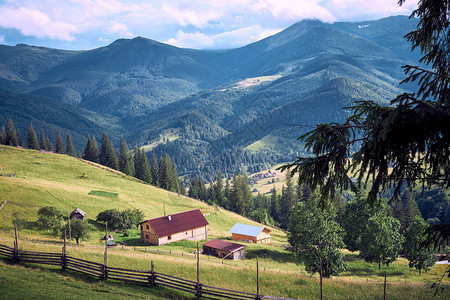山地夏季风景与林木绿山丘天气晴朗阳图片