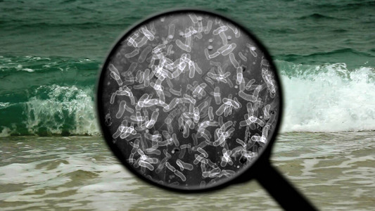 寻找水中的细菌图片