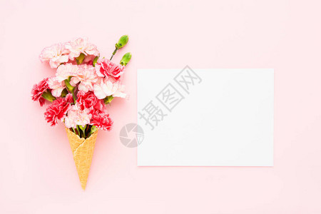 红色和白色康乃馨花和粉红色背景上的空纸图片