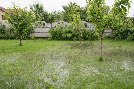 花园被淹没了暴雨洪水的后果乌克图片
