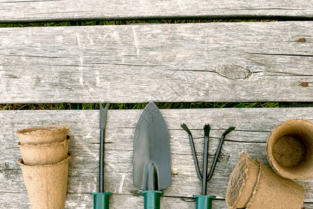 园艺工具和木本底树苗的泥炭杯图片