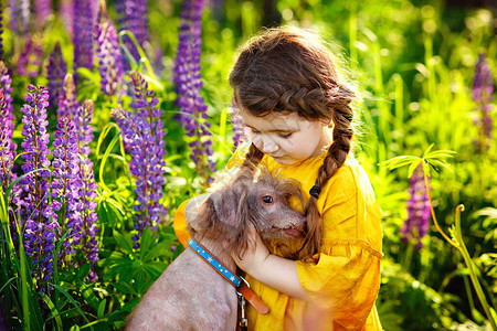 一个小女孩在野外她的宠物狗图片