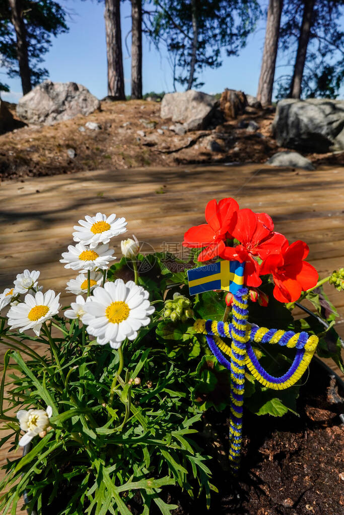 瑞典斯德哥尔摩一家有花菊和中夏杆的锅炉工图片