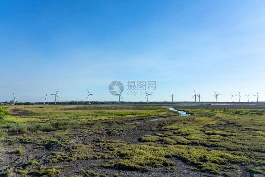 加奥梅湿地旅游通道东清城青水县图片