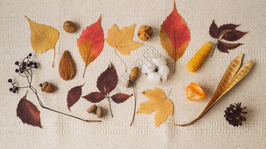 美丽的秋季节背景秋叶秋天的背景图片
