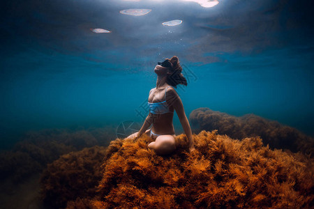 带脚蹼的女子自由潜水员在水下潜水在蓝色海洋中自由潜水图片
