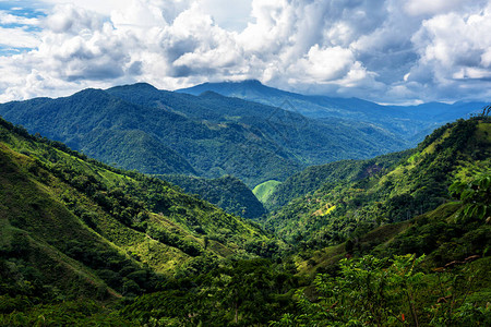 南美洲安蒂奥基亚省哥伦比亚农村雾蒙的山背景