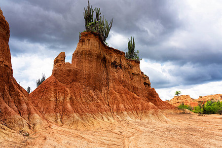 沙漠塔科亚哥伦比亚塔图片