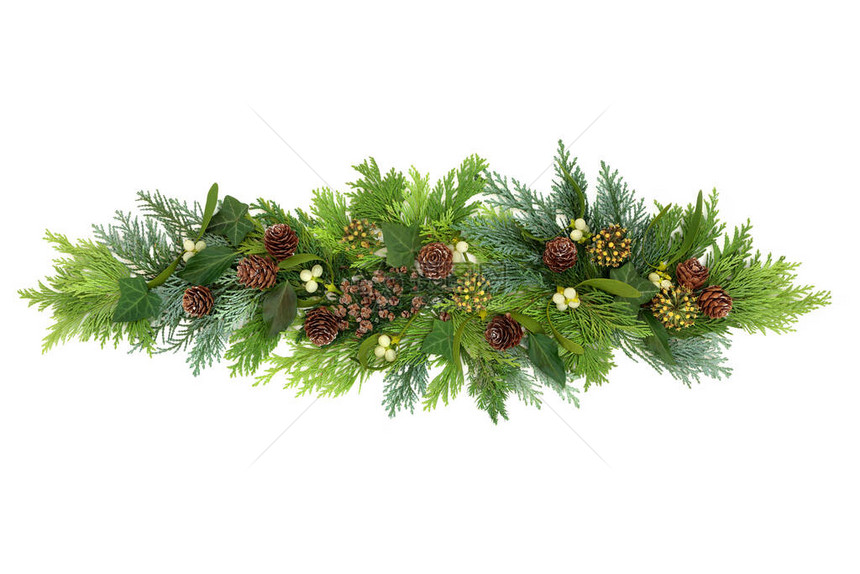 冬季绿化装饰展示与雪松柏冷杉槲寄生常春藤和松果的冬季绿化在白色背景圣诞节和新年的作文平图片