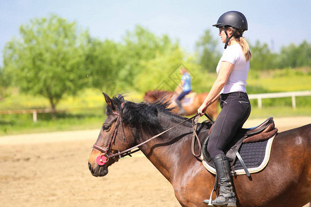 在骑术学校训练女孩骑栗色马图片