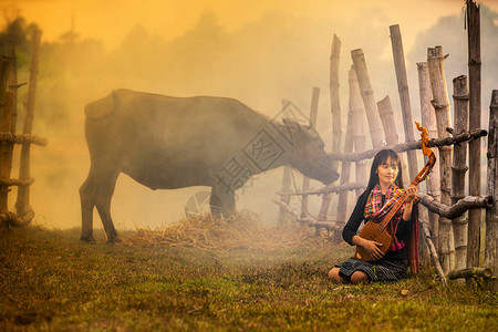 女孩在水牛稻田里演奏音乐图片