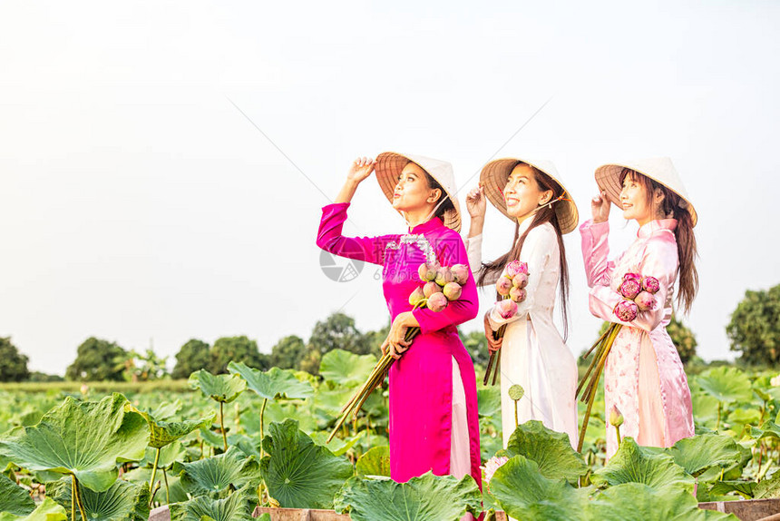 越南妇女在日落时收集莲花一艘木船上的女三个美丽的女人穿着一件带有粉红色莲花的越南连衣裙女在湖上图片