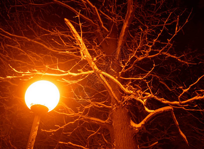 莫斯科公园里冬天点亮的路灯图片